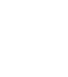 shopify-developer 
