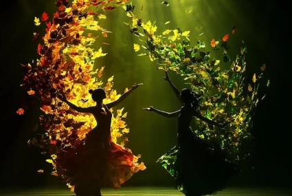 shopify-development-company-for-dance-and-performing-arts